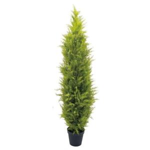 人工観葉植物 ゴールドクレスト 150cm（造花・フェイクグリーン