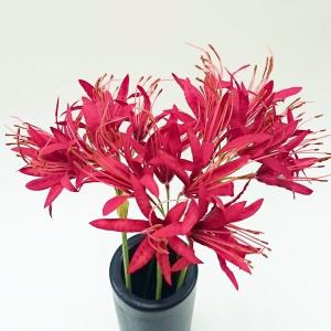 ネリネ リコリス 八重咲彼岸花(造花・アートフ...の詳細画像1