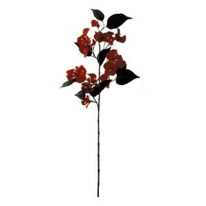 ブーゲンビリア 花 ガーデニング の商品一覧 通販 Yahoo ショッピング