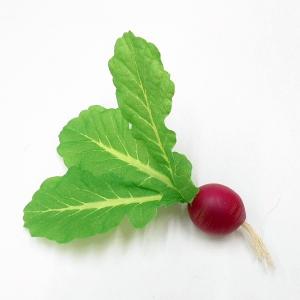 【造花 野菜】ラディッシュ 3個セット(フェイ...の詳細画像1