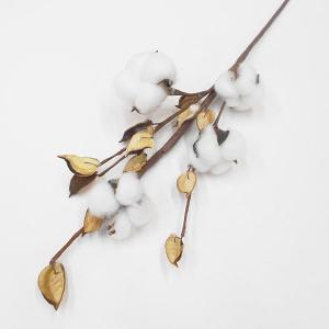 ボヘミアングラス 500PKカット 花瓶（フラワーベース） : コリーネ