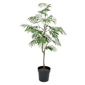 人工観葉植物 エバーフレッシュ 148cm（インテリア 造花・フェイク