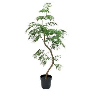 人工観葉植物 エバーフレッシュ 148cm（インテリア 造花・フェイク