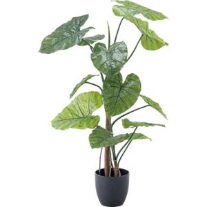 東谷 Azumaya フェイクグリーン クワズイモ Grn 16 でんking Yahoo 店 通販 Yahoo ショッピング