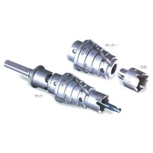 HILTI ヒルティ フラッシュアンカー HKD-SR M20x80 25本/箱 247956