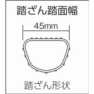 ピカ ２連はしごアルフ２ａｌｆ型 １０ ７ｍ Fcekano Edu Ng
