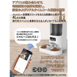 自動給餌器 給餌機 カメラ付き 猫 2匹 多頭...の詳細画像1
