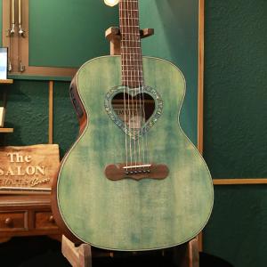 ProMartin EA350 RDS Acoustic Guitar プロマーチン エレクトリック