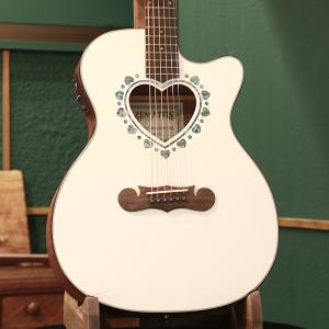 Zemaitis ゼマイティス アコースティックギター エレアコ AAJ-1000HSD