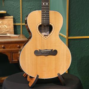 Zemaitis ゼマイティス アコースティックギター エレアコ AAJ-1000HSD