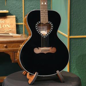 アコースティックギター 初心者 セット 台数限定 Epiphone AJ-100/VS