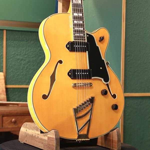 アウトレットセール D'Angelico ディアンジェリコ エレキギター フルアコ ホローボディ E...