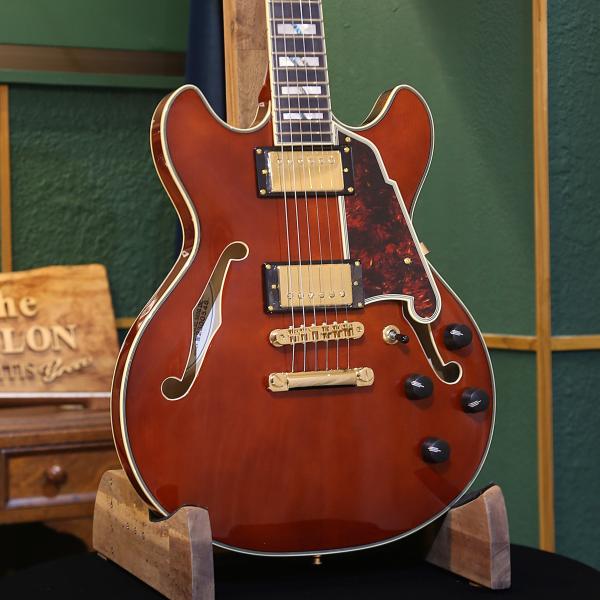 アウトレットセール D'Angelico ディアンジェリコ エレキギター セミアコ セミホロー Ex...