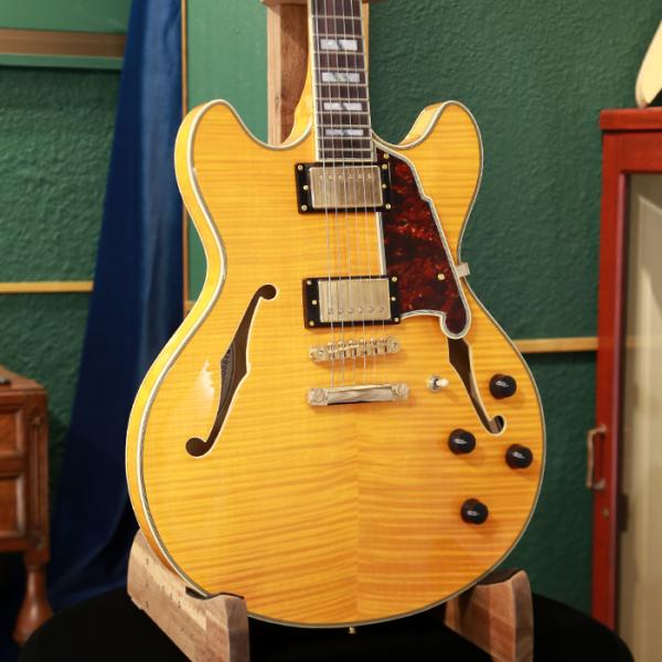アウトレットセール D'Angelico ディアンジェリコ エレキギター セミアコ セミホロー Ex...