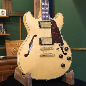 Swing Guitar スイングギター/エレキギター/ST Type/STD Series