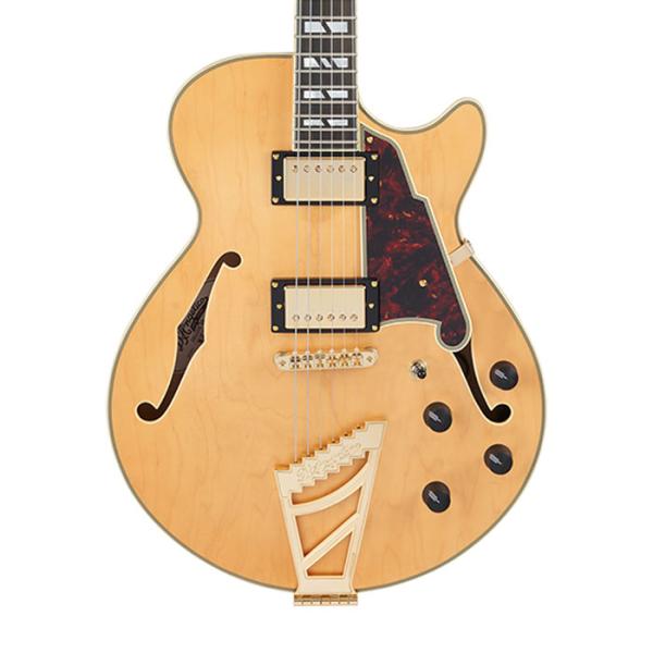 本数限定セール D'Angelico ディアンジェリコ エレキギター Deluxe SS, Sati...