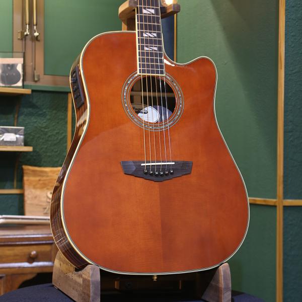 【アウトレット品】D'Angelico ディアンジェリコ エレクトリック アコースティックギター E...