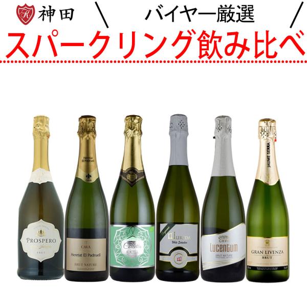 スパークリング ワイン セット シャンパン製法のCAVA 入り wine set お歳暮