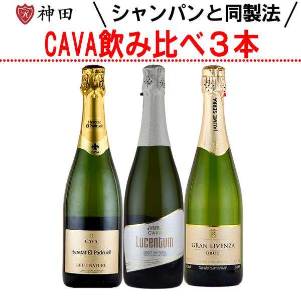 スパークリング ワイン セット 辛口 CAVA スペイン カヴァ カバ ３本 マカベオ wine s...