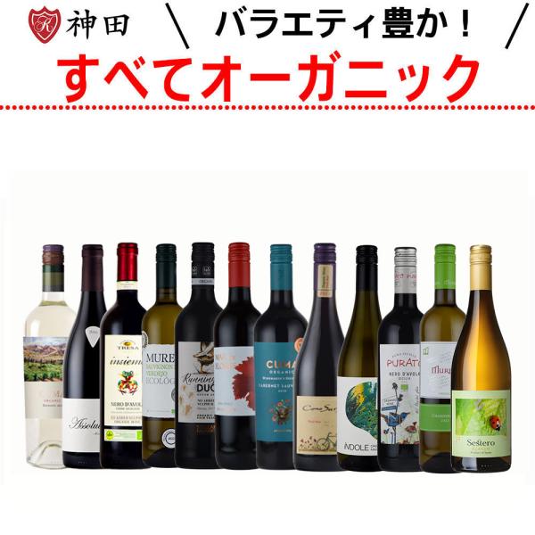 オーガニック ワイン １２本 セット wine set お歳暮