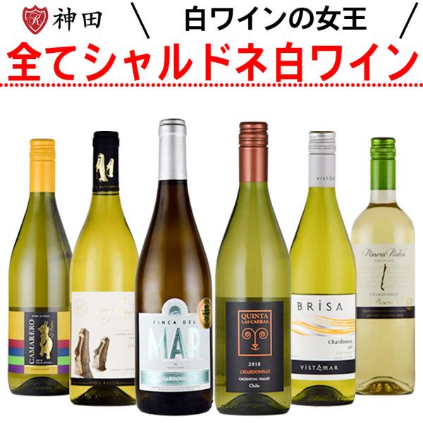 全てシャルドネを使った白ワインセット ６本 シャルドネ wine set 750mlx6本 母の日