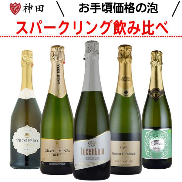 厳選 スパークリング ワイン セット ５ 本 極 辛口 飲み比べ スペイン カヴァ ブリュット ナチ...