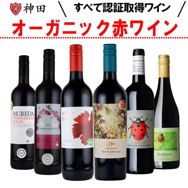 オーガニック 赤 ワイン ６本 セット デイリー 飲み比べ 普段飲み に 父の日