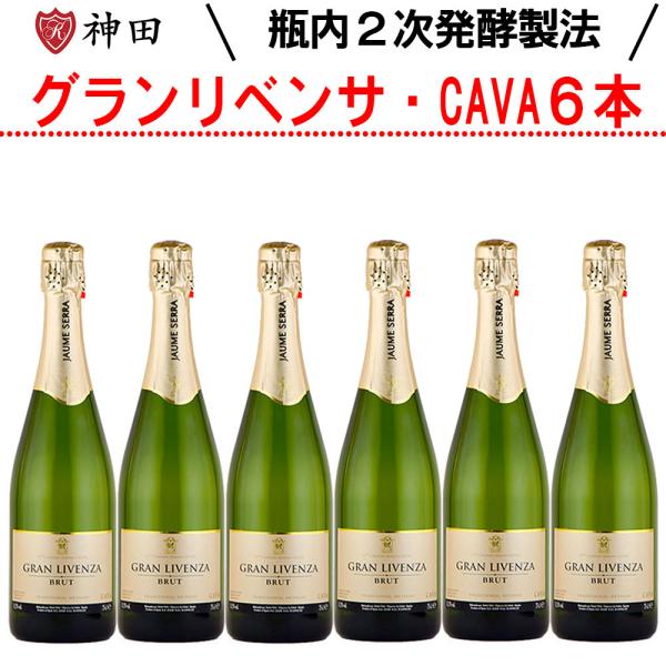CAVA まとめ買い グラン・リベンサ ６本 セット スパークリング スペイン ハウメ・セラ 社 辛...