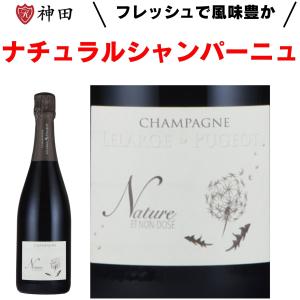 赤ワイン ジョージアワイン サぺラヴィ陶器ボトル グルジアワイン やや