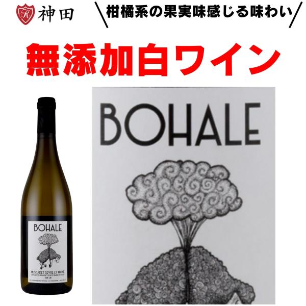 トゥロディエル ボアル ミュスカデ・セーヴル・エ・メーヌ シュール・リー 酸化防止剤無添加  フラン...