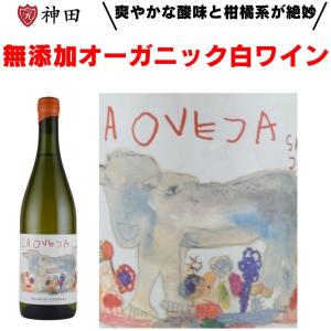 赤ワイン ジョージアワイン ピロスマニ 陶器ボトル グルジアワイン 中