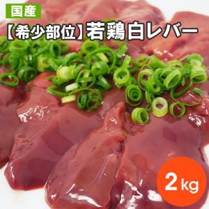 国産若鶏白レバー 鶏のフォアグラ 2kg 希少部位 お取り寄せ