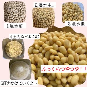 2025年 令和7年産【無農薬・無化学肥料大豆...の詳細画像3