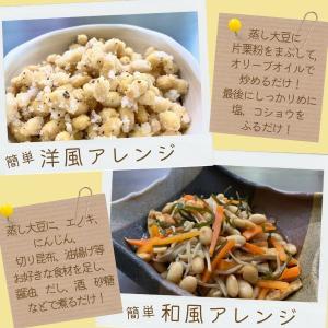 2025年 令和7年産【無農薬・無化学肥料大豆...の詳細画像4