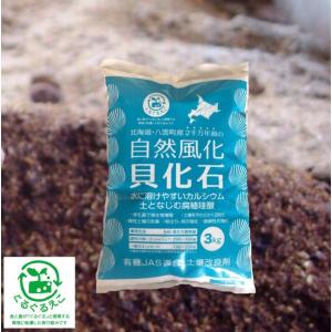 【自然風化貝化石　3ｋｇ】　天然カルシウム　根張り・耐病性の強化に　土壌改善　家庭菜園　【送料無料】｜kandk3525