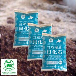 自然風化貝化石 3kg】 天然カルシウム 根張り・耐病性の強化に 土壌 