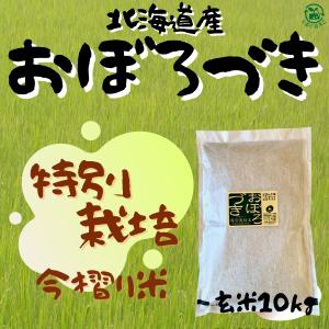 2025年 令和7年産【無農薬・無化学肥料大豆 約1kg (クリックポスト配送