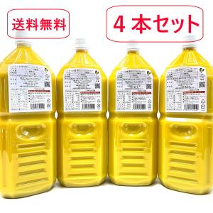 【送料無料】【業務用・大容量】沖縄県大宜味村産100%　青切りシークヮーサー　2L　4本セット