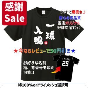 野球名言】やれるかやれないかではなくて自分次第。 Tシャツ＆ロンT