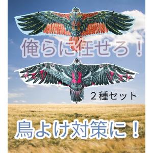 鳥よけ グッズ ベランダ 車 畑 鷹 屋根 防鳥具 防獣 鳥獣害対策 撃退 2種類セット｜kanedasyoten