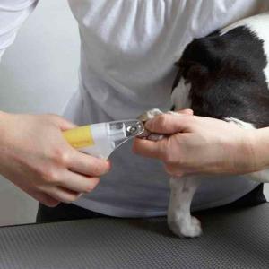 犬 爪切り 犬用 爪やすり 爪削り 初心者 抗...の詳細画像4