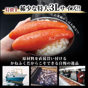 明太子 かねふく ギフト ふとっぱら明太子 7...の詳細画像5