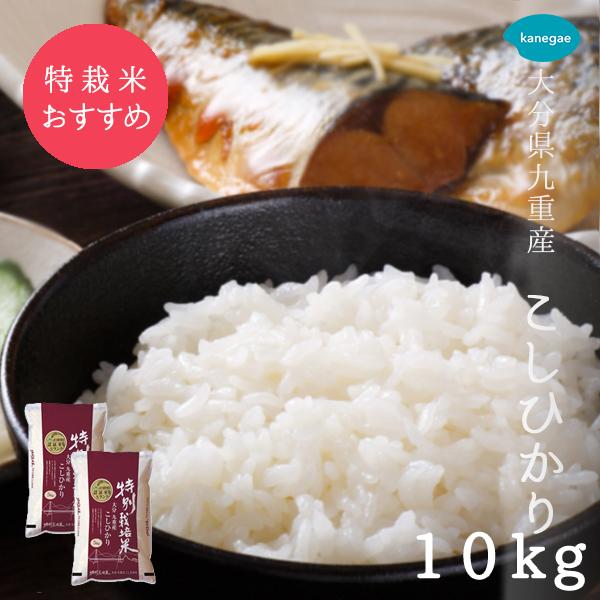 お米 10kg 白米 コシヒカリ 送料無料 特別栽培米 大分県産 令和5年産 九重こしひかり カネガ...