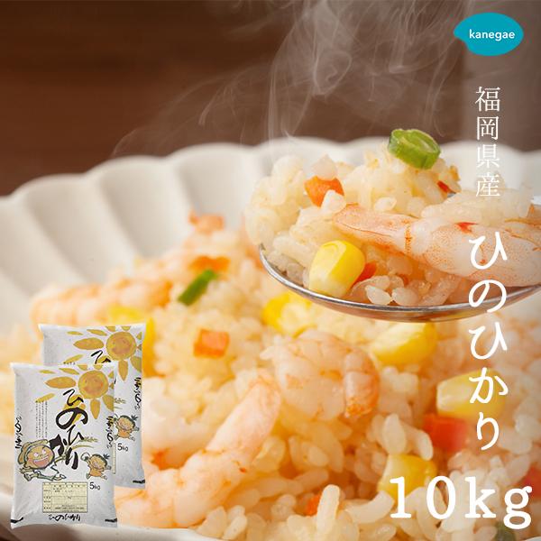 お米 10kg 白米 送料無料 令和5年産 福岡県産 ひのひかり 和食 洋食 合うお米