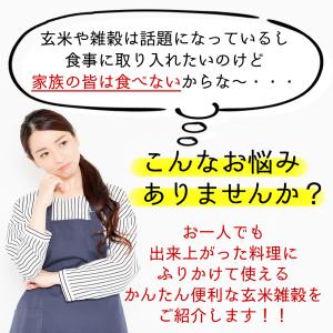 兼上 無添加 国産 玄米雑穀 ふりかけ 35g...の詳細画像1