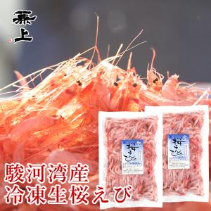 カネジョウ 駿河湾産 生桜えび 100g×2袋 由比港水揚げ