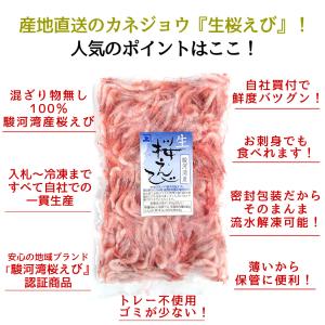 兼上 生桜えび 駿河湾産 100g×2袋 由比...の詳細画像2