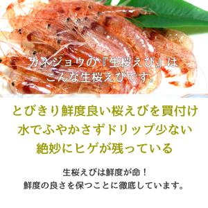 兼上 生桜えび 駿河湾産 100g×2袋 由比...の詳細画像3