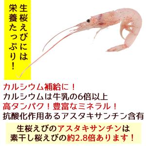 兼上 生桜えび 駿河湾産 100g×2袋 由比...の詳細画像4