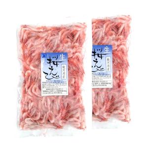 兼上 生桜えび 駿河湾産 100g×2袋 由比...の詳細画像1